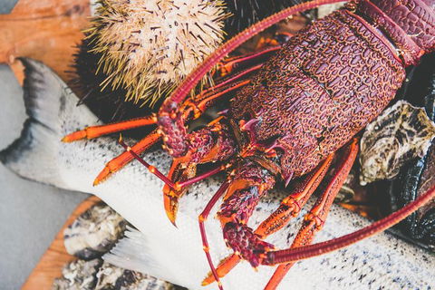 Deep-to-Dish: Tasmanian Seafood Experience - Afternoon Tour - Tourism Townsville 7