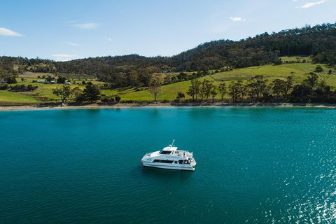 Deep-to-Dish: Tasmanian Seafood Experience - Afternoon Tour - Tourism Townsville 8