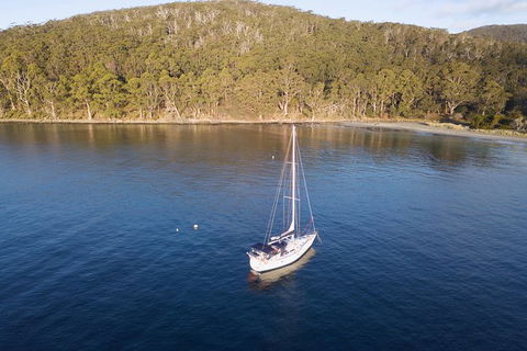 Derwent River Day Sail From Sullivan Cove And Return - Tourism Townsville 2