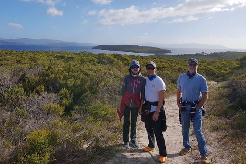 Maria Island And East Coast Five Day Cruise - Tourism Townsville 2
