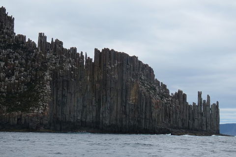 Maria Island And East Coast Five Day Cruise - Tourism Townsville 6