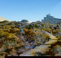 Hartz Mountains premium private photo-oriented day tour from Hobart - Tourism Townsville
