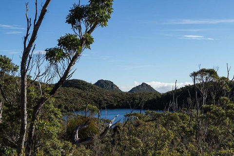 Hartz Mountains Premium Private Photo-oriented Day Tour From Hobart - Tourism Townsville 1