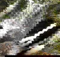 Waterfalls Guided Tour - Tourism Townsville