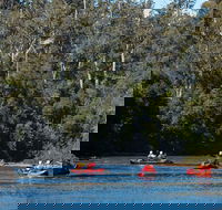 Twin Rivers Adventure - Tourism Townsville