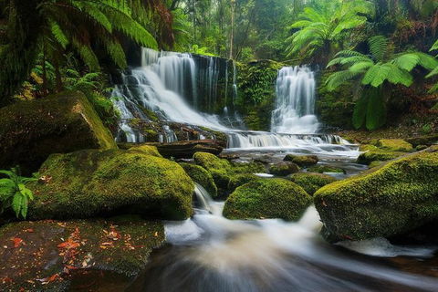 Mount Field Private Charter Service - Tourism Townsville 3