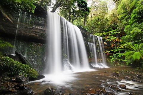 Mount Field Private Charter Service - Tourism Townsville 1