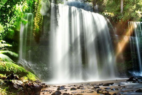 Mount Field Private Charter Service - Tourism Townsville 0