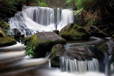 Highlights Of Tasmania Premium Small Group 7 Days Touring Package - Tourism Townsville 7