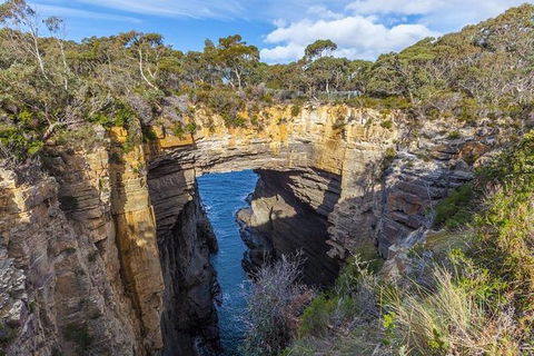 Highlights Of Tasmania Premium Small Group 7 Days Touring Package - Tourism Townsville 10