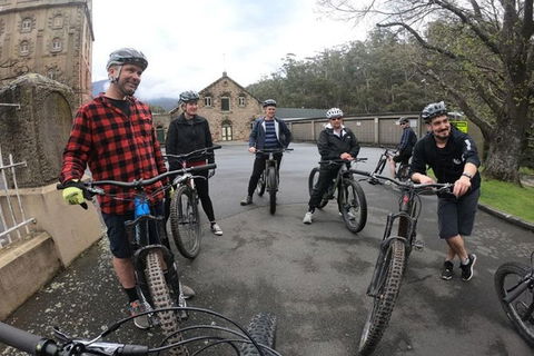 Explore Downhill Mountain In 3-Hour Bike Tour From Hobart - Tourism Townsville 3