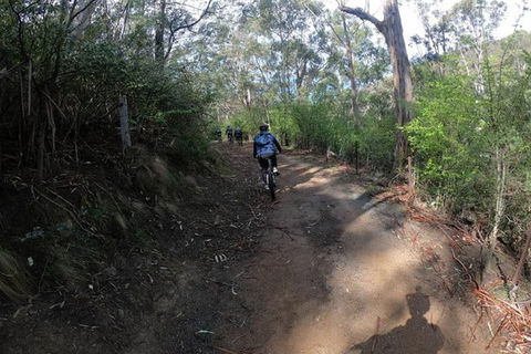 Explore Downhill Mountain In 3-Hour Bike Tour From Hobart - Tourism Townsville 1