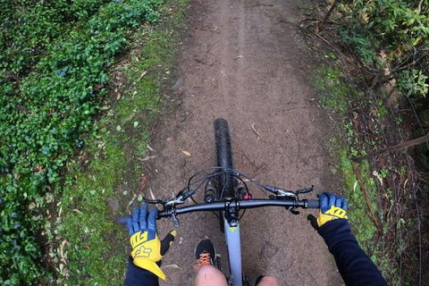 Explore Downhill Mountain In 3-Hour Bike Tour From Hobart - Tourism Townsville 4