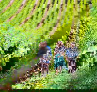 Hobart Highlights of Tasmanian Wine Full Day Tour - Tourism Townsville