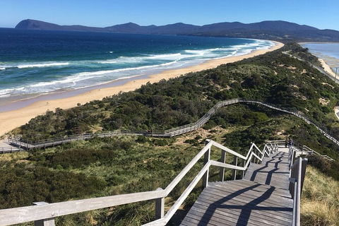 4-Day Fabulous Tasmania Tour: Wineglass Bay, Port Arthur, Devils & Bruny Island - Tourism Townsville 3