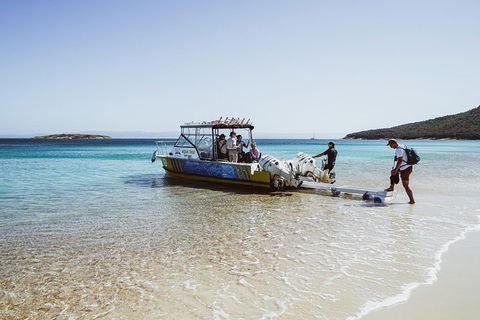 Sea & Explore Wineglass Bay & Freycinet National Park - Cruise & Walk - Tourism Townsville 3