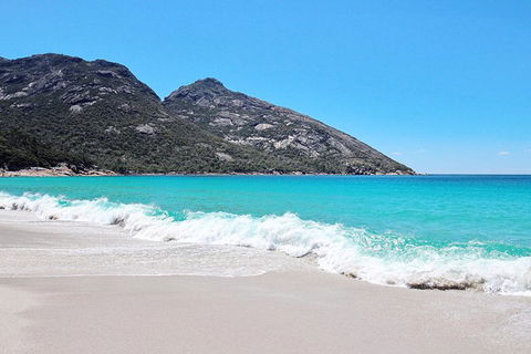 Sea & Explore Wineglass Bay & Freycinet National Park - Cruise & Walk - Tourism Townsville 4