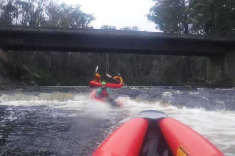 Twin Rivers Winter Adventure - Tourism Townsville 4