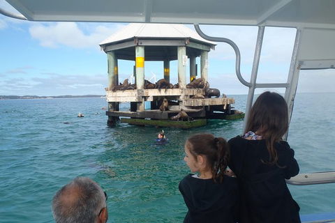 Sailing Cruise With Seals - Tourism Townsville 0