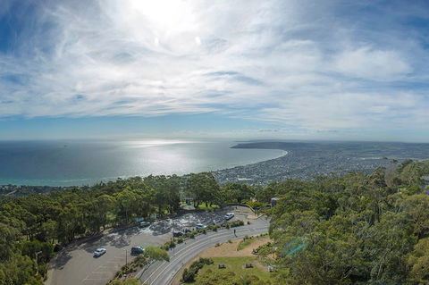 Peninsula Nature Tour - Tourism Townsville 8