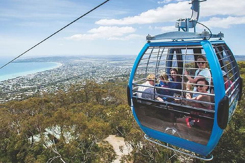 Peninsula Nature Tour - Tourism Townsville 1