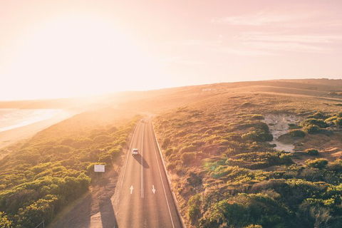 LGBT+ Friendly 2 Day Private Great Ocean Road Tour - Tourism Townsville 1