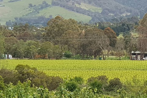 Day Tour Of Yarra Valley Puffing Billy And Rayners Orchard - Tourism Townsville 44