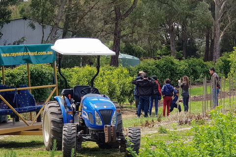 Day Tour Of Yarra Valley Puffing Billy And Rayners Orchard - Tourism Townsville 10