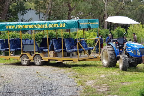 Day Tour Of Yarra Valley Puffing Billy And Rayners Orchard - Tourism Townsville 48