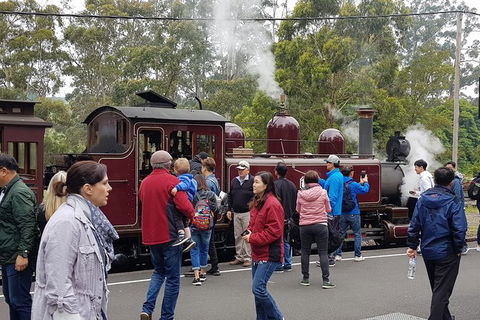 Day Tour Of Yarra Valley Puffing Billy And Rayners Orchard - Tourism Townsville 4