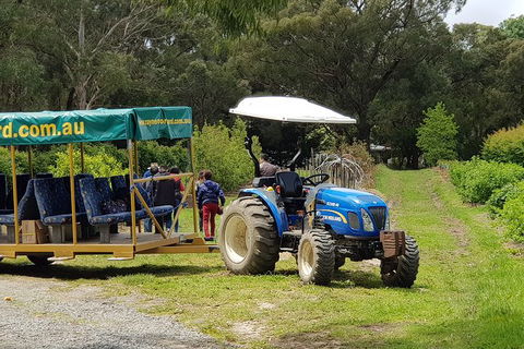 Day Tour Of Yarra Valley Puffing Billy And Rayners Orchard - Tourism Townsville 25
