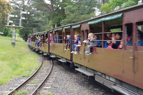 Day Tour Of Yarra Valley Puffing Billy And Rayners Orchard - Tourism Townsville 24