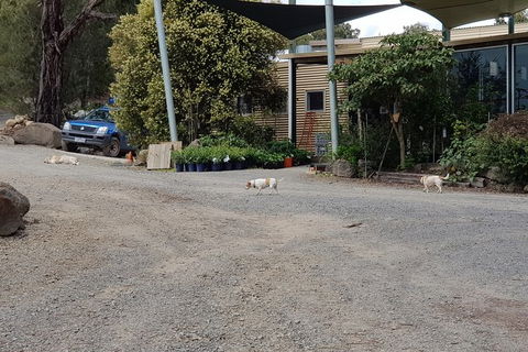 Day Tour Of Yarra Valley Puffing Billy And Rayners Orchard - Tourism Townsville 26