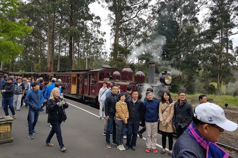 Day Tour Of Yarra Valley Puffing Billy And Rayners Orchard - Tourism Townsville 9