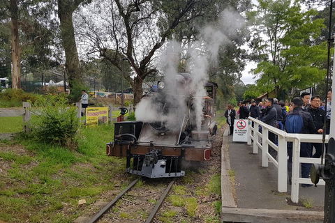 Day Tour Of Yarra Valley Puffing Billy And Rayners Orchard - Tourism Townsville 43