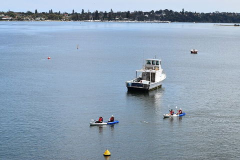 Cliffs And Caves Kayak Tour In Swan River - Tourism Townsville 5