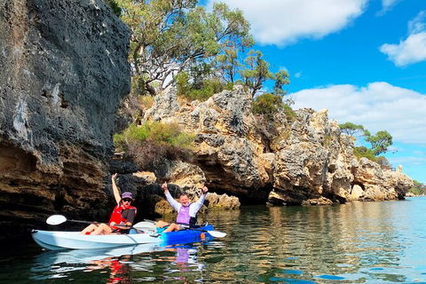 Cliffs And Caves Kayak Tour In Swan River - Tourism Townsville 0