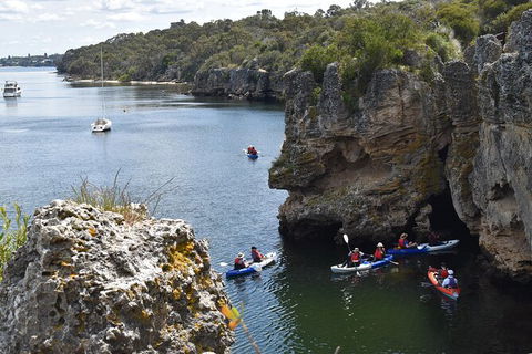Cliffs And Caves Kayak Tour In Swan River - Tourism Townsville 2