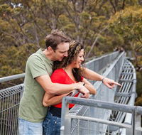 Valley of the Giants Tree Top Walk - Tourism Townsville