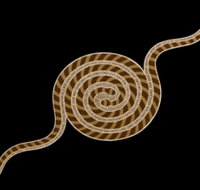 Original  Authentic Aboriginal Art - Tourism Townsville
