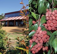 Bushfood Factory and Cafe - Tourism Townsville