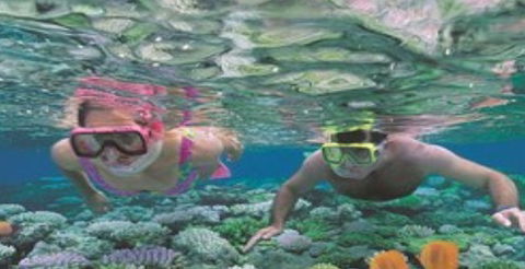 Quicksilver Cruises - Tourism Townsville 2