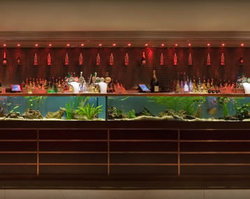 AB Hotel - Tourism Townsville 2