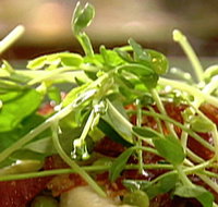 Wild Hearts Cafe Restaurant - Tourism Townsville