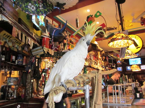 A Friend In Hand - Tourism Townsville 0