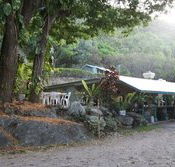 Ellis Beach Bar  Grill - Tourism Townsville