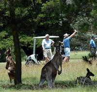 Glen Innes Golf Club - Tourism Townsville