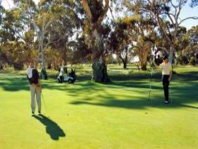 Tanunda Pines Golf Club - Tourism Townsville 1