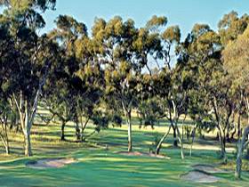 Tanunda Pines Golf Club - Tourism Townsville 2