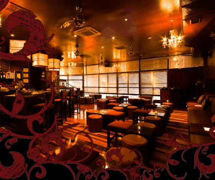 Hippo Lounge Bar - Tourism Townsville